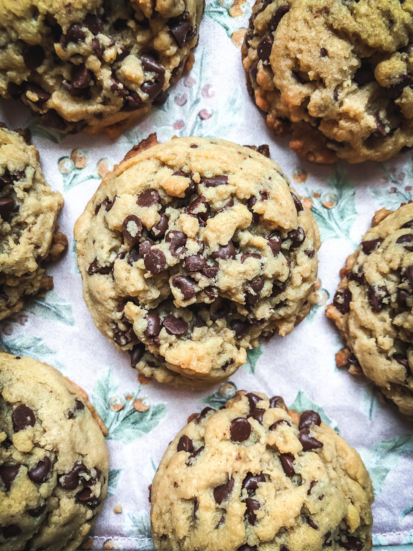 CHEWY CHOCOLATE CHIP COOKIES